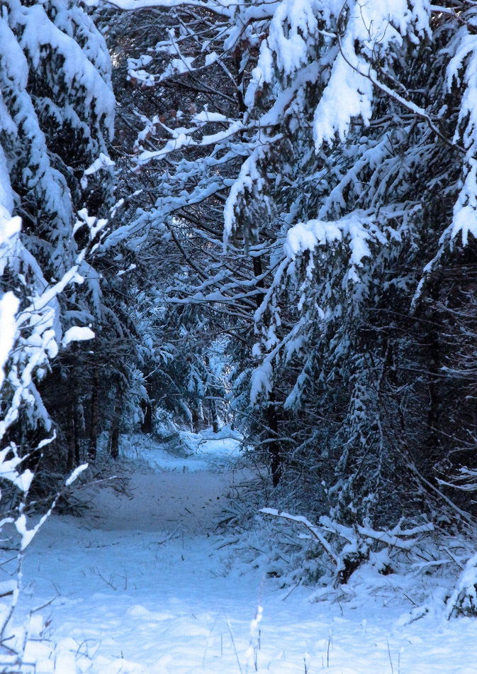 Winter in Poland