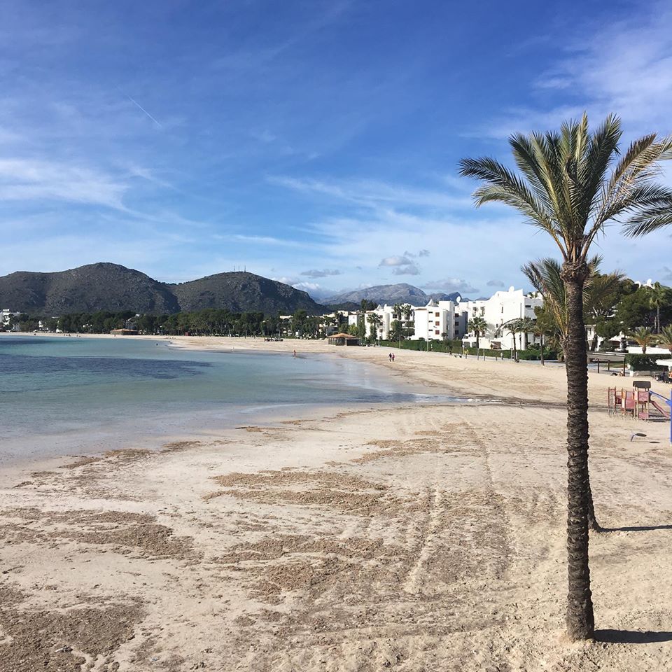 Winter in Port de Alcudia 