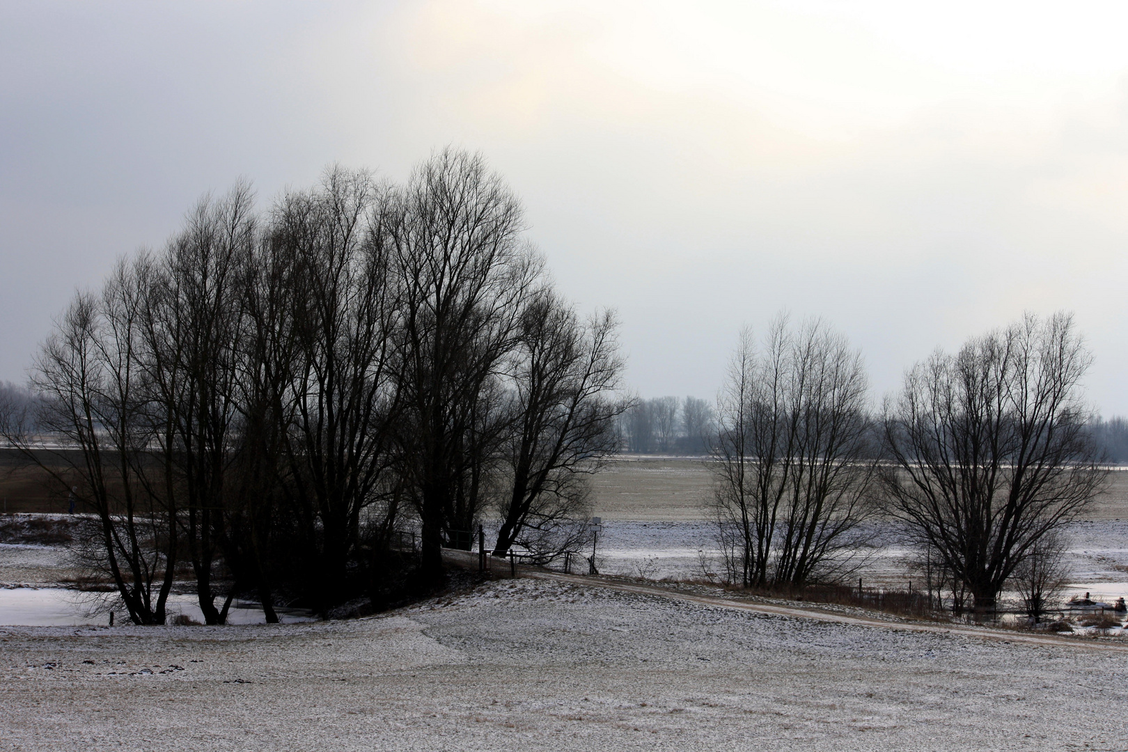 Winter in Rees am Rhein