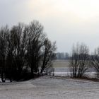 Winter in Rees am Rhein