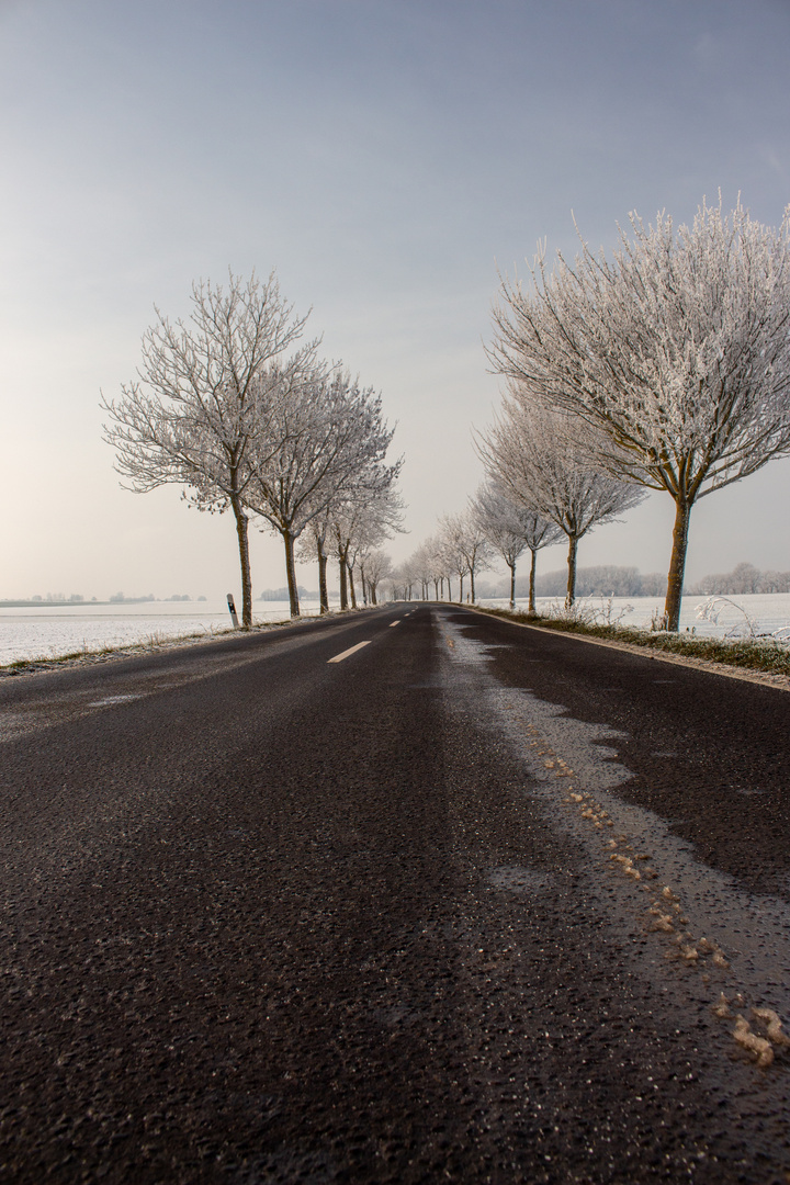 Winter in Rheinhessen 