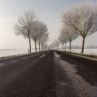 Winter in Rheinhessen 