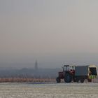 Winter in Rheinhessen