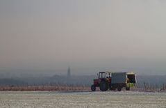 Winter in Rheinhessen