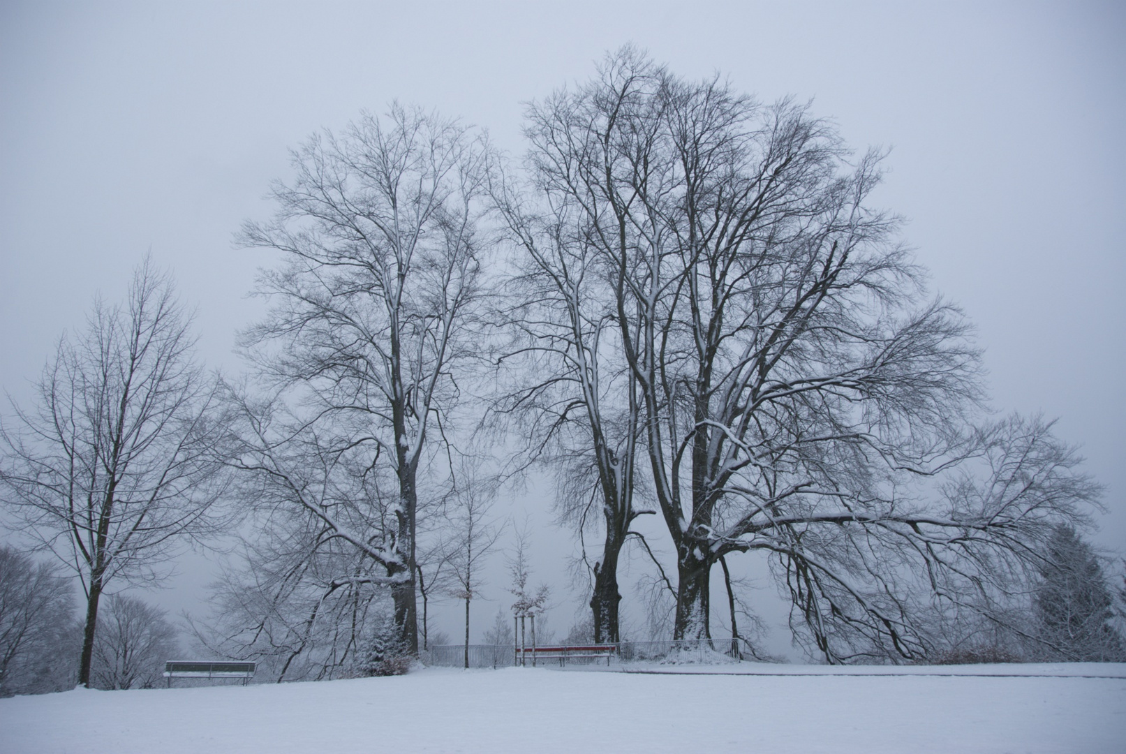 Winter in Rieter Park