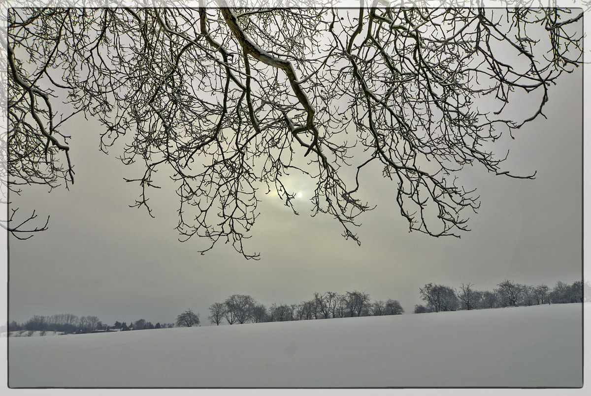 Winter in Rodenbach