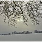 Winter in Rodenbach