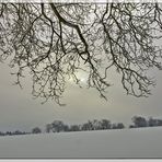 Winter in Rodenbach