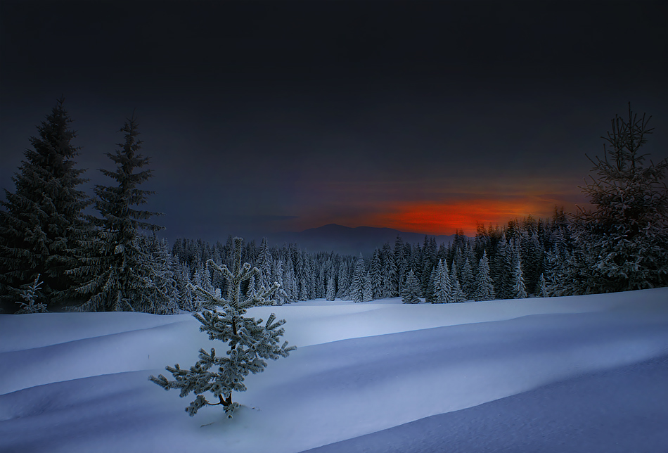 Winter in Rodopi Mountain