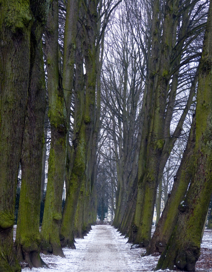 Winter in Rostock