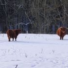 Winter in Sachsen