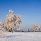 Winter in Sachsen