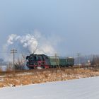 Winter in Sachsen Anhalt