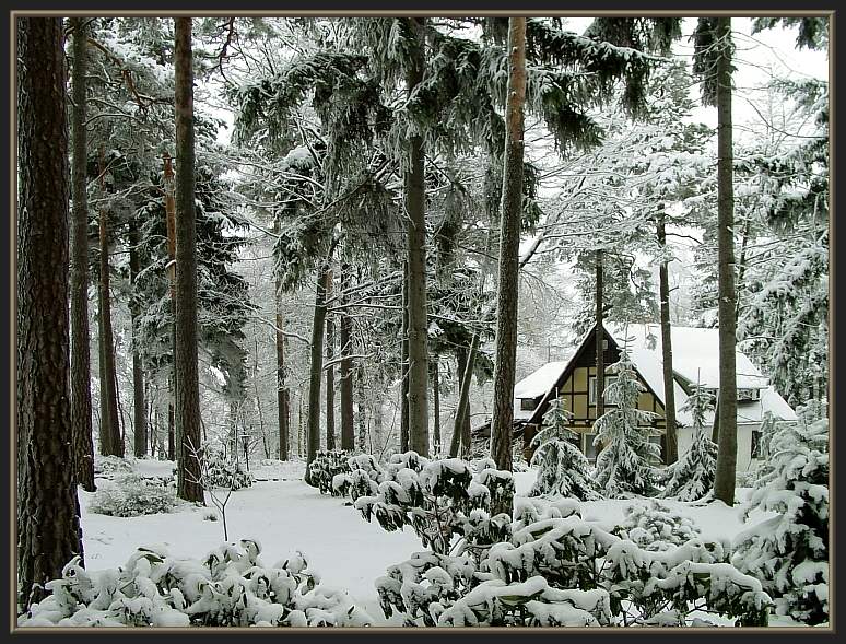 Winter in Sachsen I