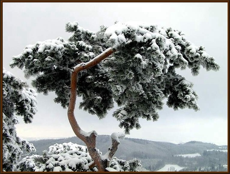 Winter in Sachsen II