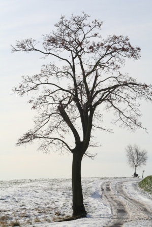 Winter in Sachsen (Oederan)