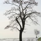 Winter in Sachsen (Oederan)