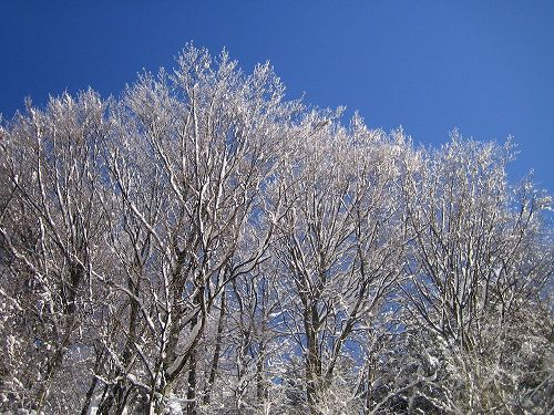 Winter in Salzburg