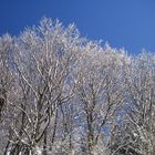 Winter in Salzburg