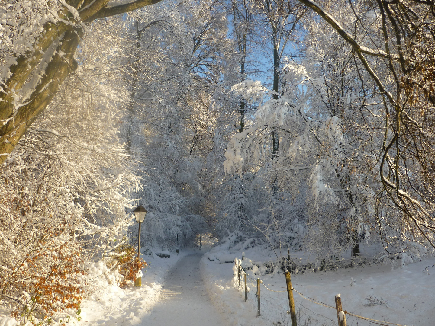 Winter in Salzburg