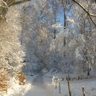 Winter in Salzburg