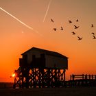 Winter in Sankt Peter Ording