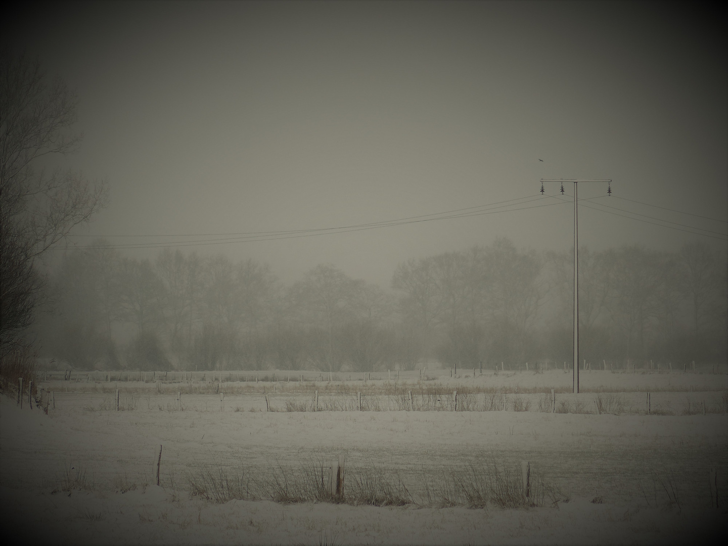 Winter in Schleswig Holstein