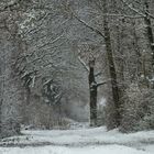 Winter in Schleswig Holstein