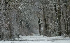 Winter in Schleswig Holstein