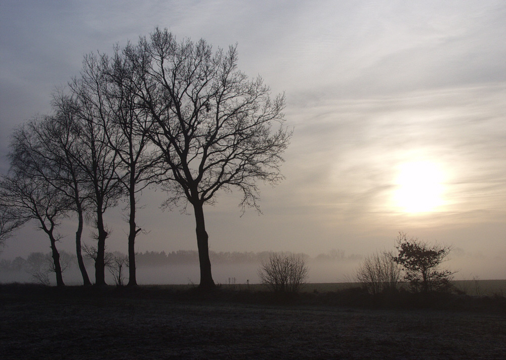 Winter in Schleswig-Holstein - wo bleibt der Schnee?