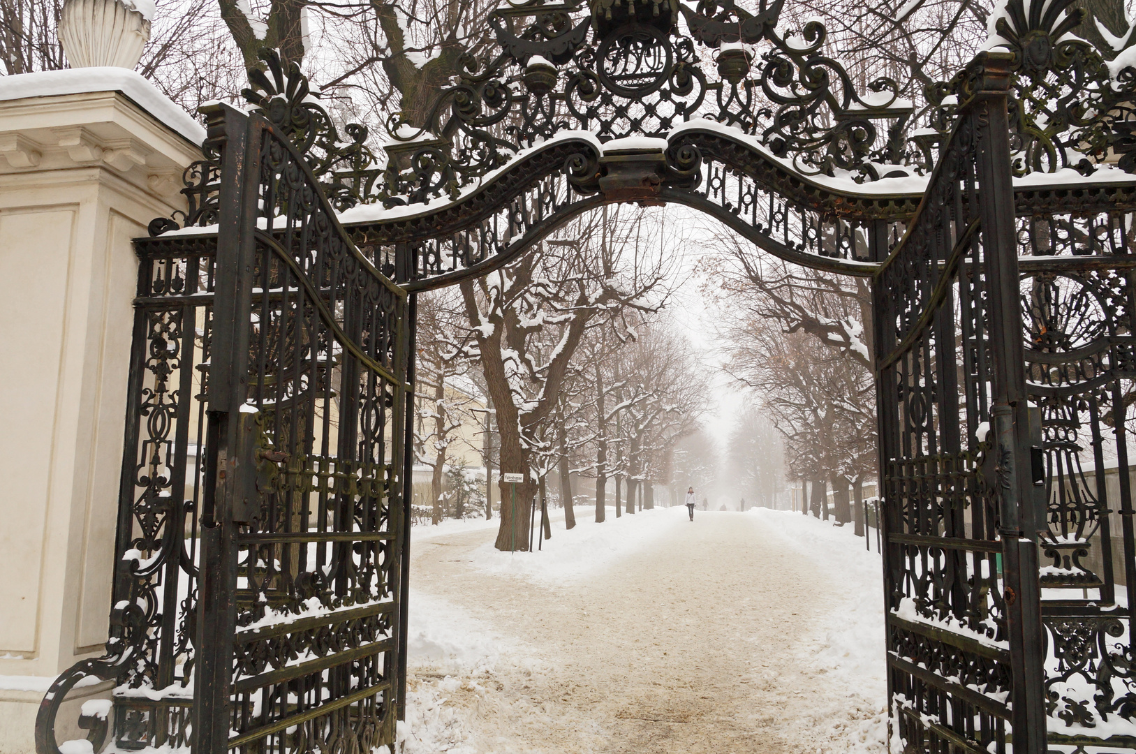 Winter in Schönbrunn