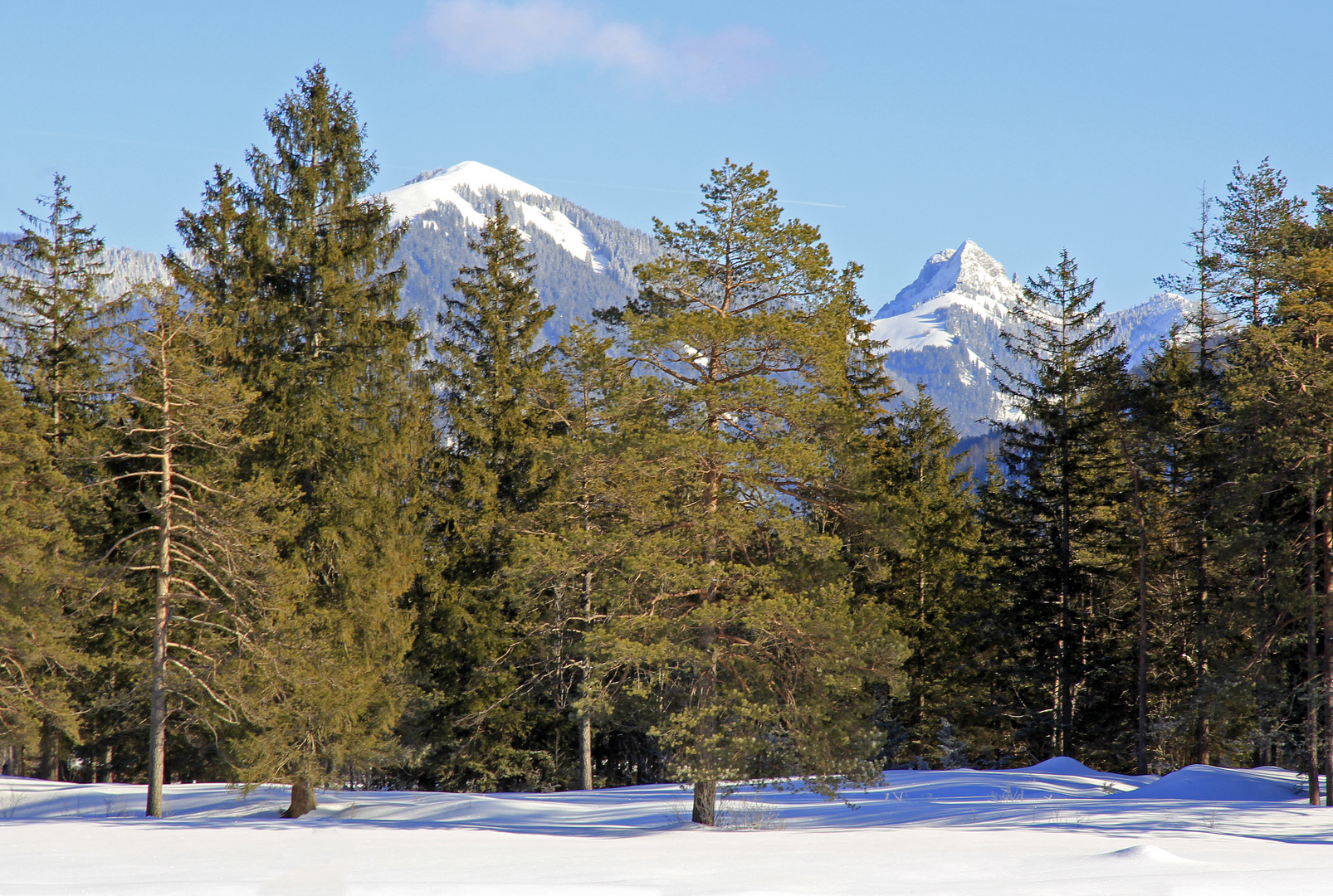 Winter in schönster Gestaltung