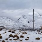 Winter in Schottland