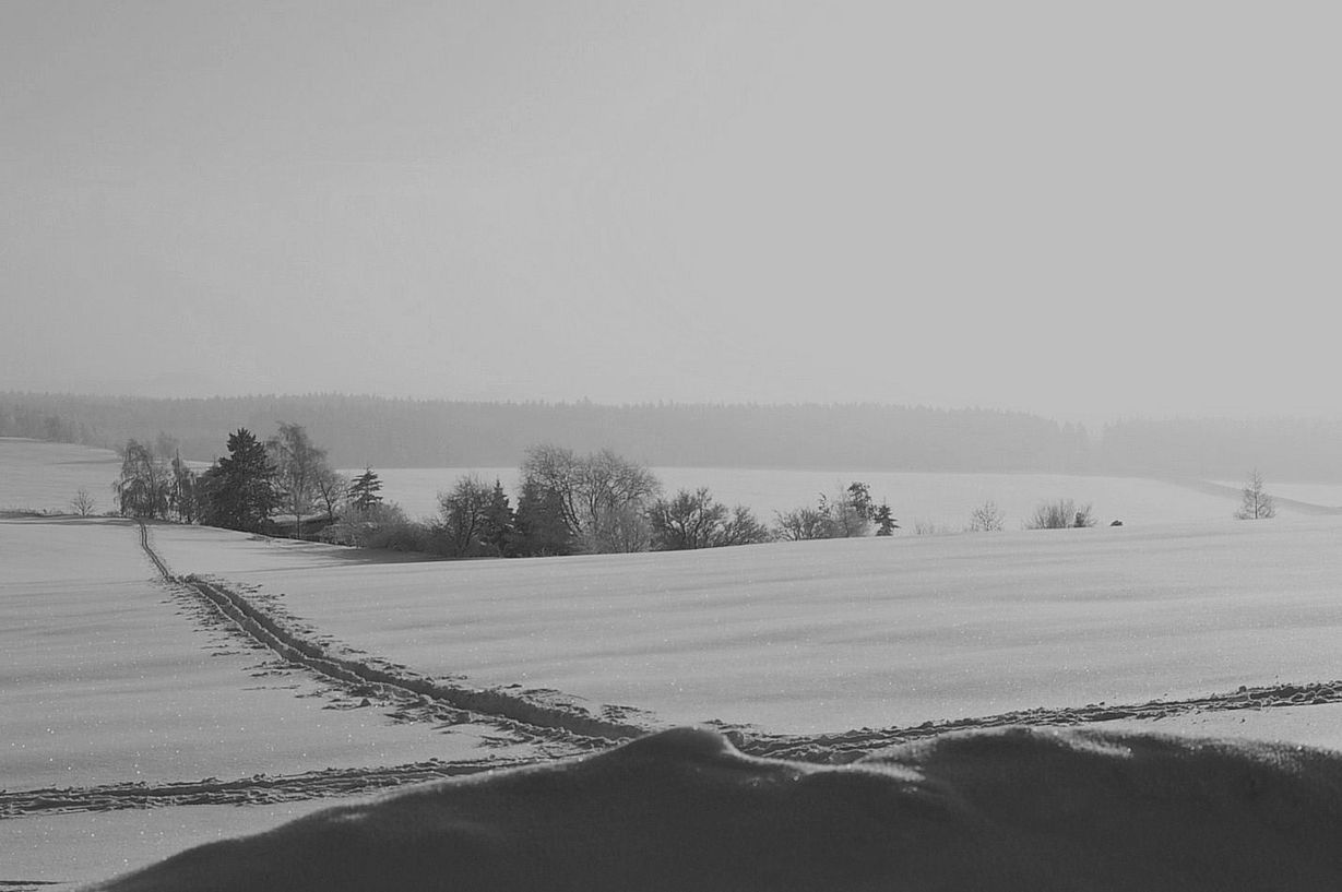 Winter in schwarz weiß