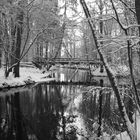 Winter in Schwarz-Weiß