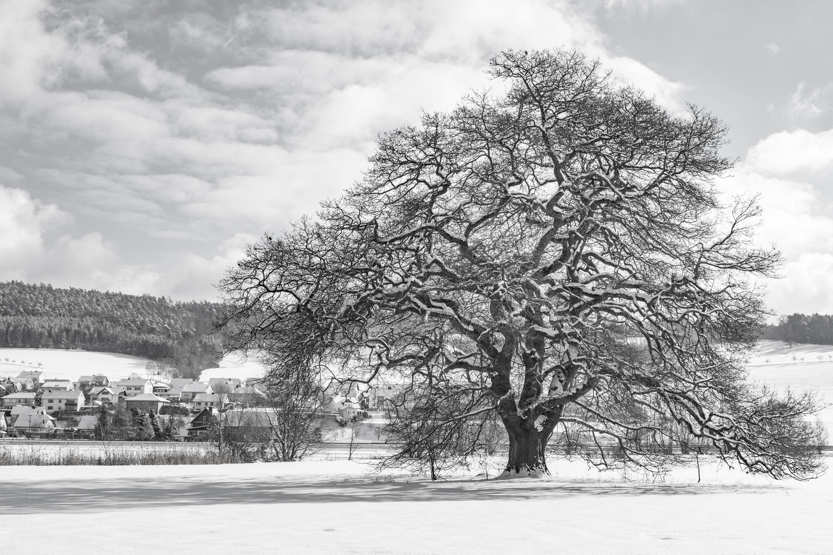 Winter in Schwarz-Weiss