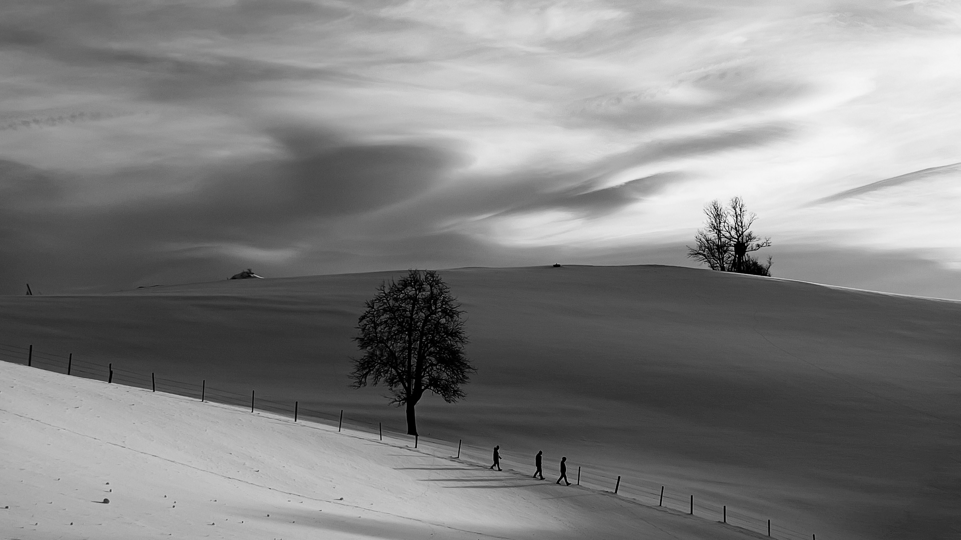 Winter in Schwarz-weiß