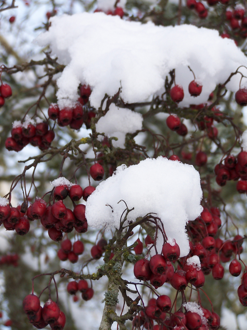 Winter in Schweden