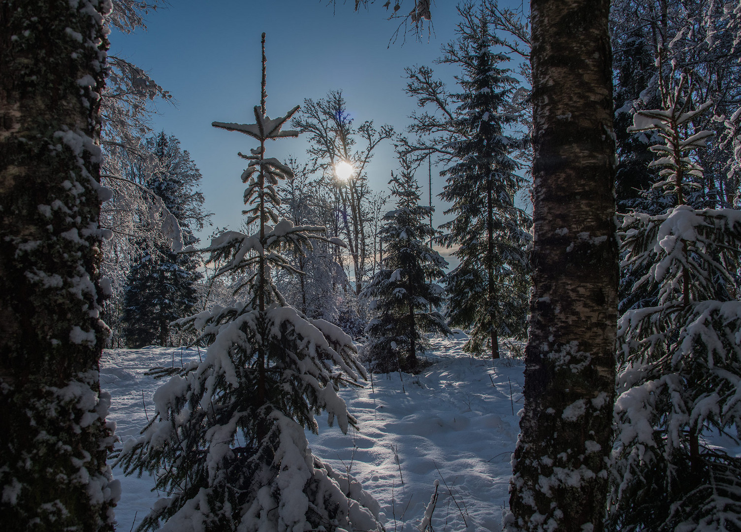 Winter in Schweden