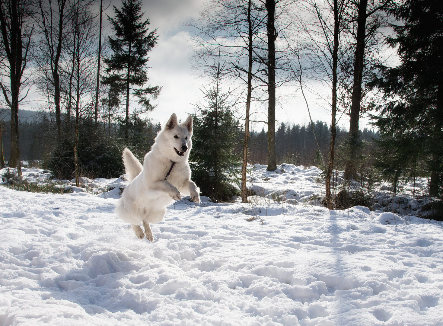 Winter in Schweden