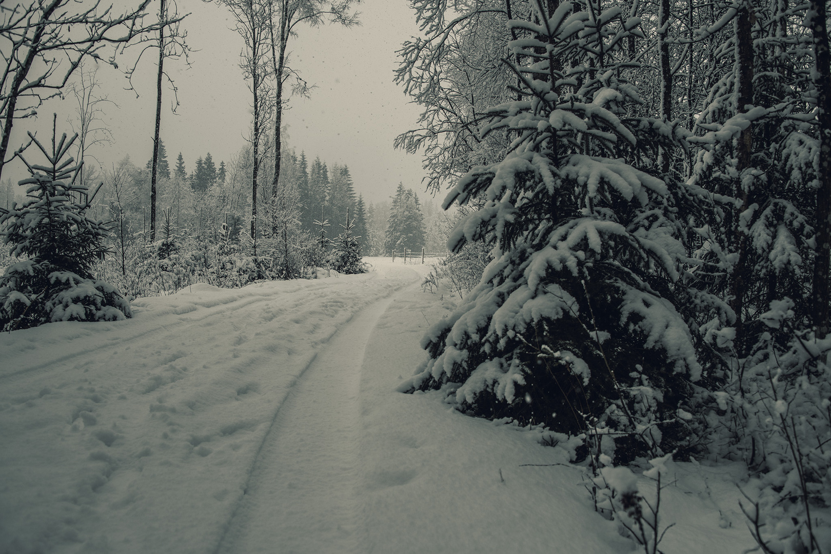 Winter in Schweden