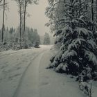 Winter in Schweden