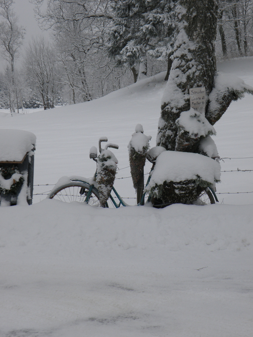 Winter in Schweden