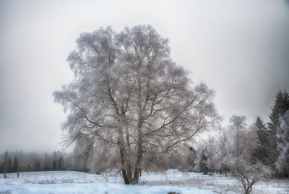 Winter in Schweden