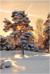 Winter in Schweden