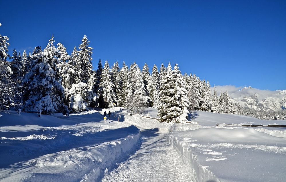 Winter in Seefeld