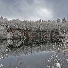 Winter in seinen kühlen Farb-Spiegelungen