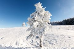 Winter in seiner schönen Form