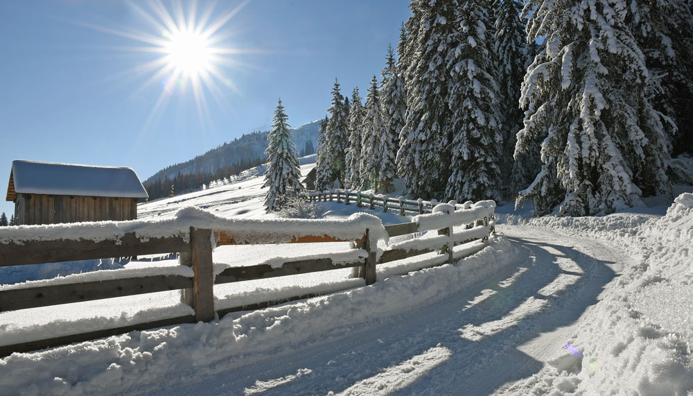 Winter in seiner schönsten Form.......