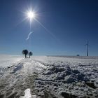 Winter in seiner schönsten Form